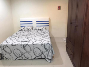 Singa Angsa house